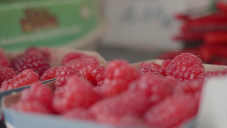 Focus-pull-of-Raspberries-in-small-boxes-at-a-local-farm-shop,-handheld-close-up