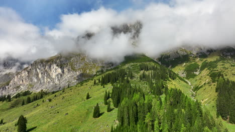 Panoramic-aerial-shot-of-Austria's-timbered-mountaintop
