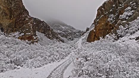 Aerial-dolly-above-snowy-trees-covered-white-along-wide-hiking-trail-at-entrance-of-steep-canyon