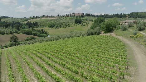 Aerial-Drone-Tuscany-Grapes-Olive-Castle