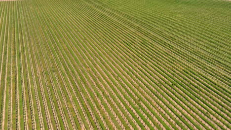 Agricultural-Farm-Fields-in-the-Rural-Countryside,-Aerial-Pan-Up