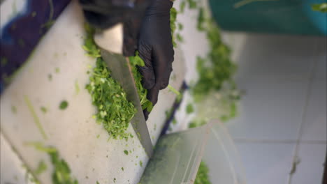 Vertical-slow-motion-close-up-of-a-latin-hispanic-cook-wearing-black-latex-gloves-chopping-mincing-cilantro-with-a-big-knife-at-a-restaurant-in-Mexico