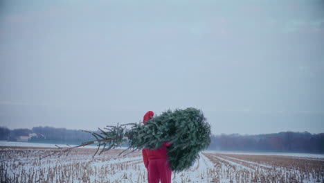 Man-in-Santa-hat-carrying-Christmas-tree-on-shoulder-during-winter