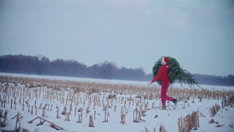 Man-carrying-Christmas-tree-on-shoulder-while-walking-on-dry-snow-covered-landscape