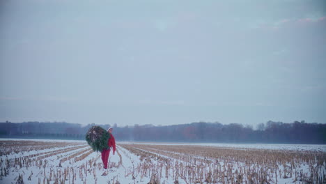 Man-carrying-Christmas-tree-while-walking-on-dry-snow-covered-landscape