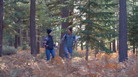 Panning-shot-of-couple-walking-holding-hands-on-forest-trail