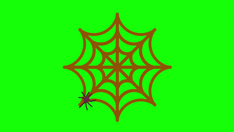 Spinne-Auf-Spinnennetz,-Bewegtes-Motion-Graphics-Video,-Transparenter-Hintergrund-Mit-Alphakanal