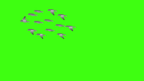 halloween-bird-flying-loop-motion-graphics-video-transparent-background-with-alpha-channel