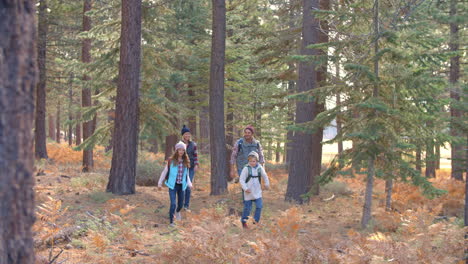 Slow-motion-panning-shot-of-family-walking-past-in-a-forest