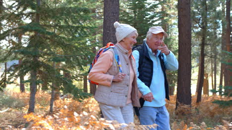 Panning-shot-of-senior-couple-walking-on-sunlit-forest-trail