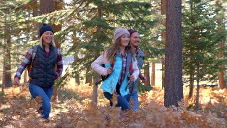 Panning-shot-of-family-running-past-on-a-forest-trail