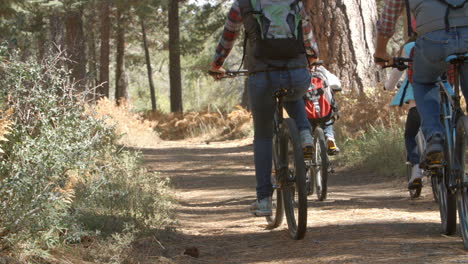 Family-riding-mountain-bikes-on-a-forest-trail,-back-view