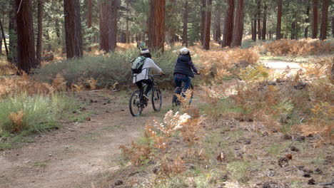 Lesbian-couple-on-bikes-high-five-in-a-forest,-back-view
