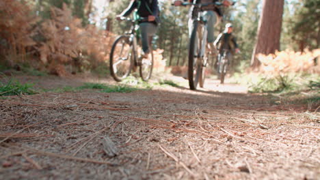 Four-friends-riding-past-on-bikes-in-a-forest,-low-angle