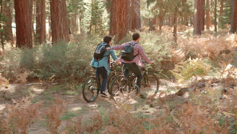 Male-couple-touch-while-cycling-through-a-forest,-back-view