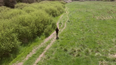 Aerial-Shot-Of-Woman-Walking-Along-Path-In-Countryside