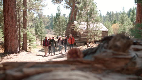 Six-friends-walk-past-log-cabin-in-a-forest-towards-camera