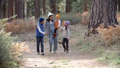 Asiatische-Mutter-Mit-Drei-Kindern,-Die-In-Einem-Wald-Spazieren-Gehen