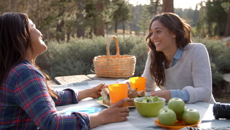 Female-couple-talk-holding-hands-across-a-picnic-table