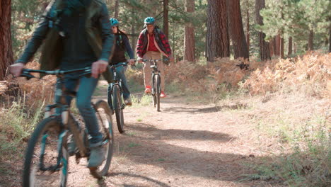 Friends-riding-bikes-on-a-forest-path,-front-view,-low-angle