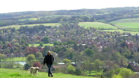 Mature-Man-Takes-Dog-For-Walk-In-Countryside-Shot-On-R3D