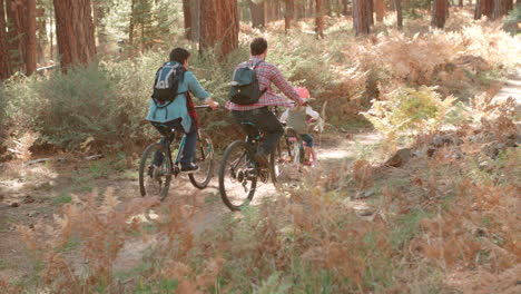 Male-couple-and-daughter-in-a-forest-cycle-past,-back-view
