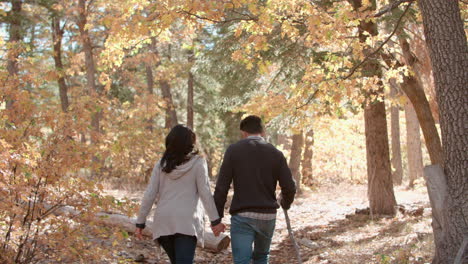 Hispanic-couple-hold-hands-walking-in-a-forest,-back-view