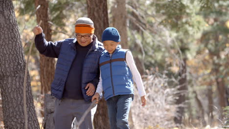 Asian-father-and-son-hiking-together-in-a-forest