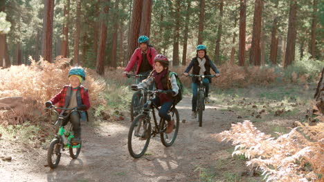 Parents-with-two-kids-cycling-past-on-a-forest-path