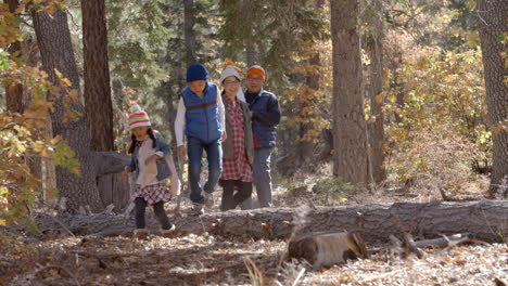 Asian-family-of-five-enjoy-a-walk-in-a-forest,-kids-pointing