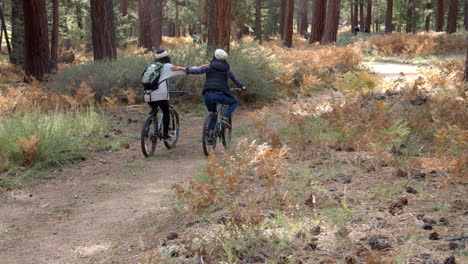 Dos-Mujeres-Abrazándose-Mientras-Andan-En-Bicicleta-En-El-Bosque,-Vista-Posterior