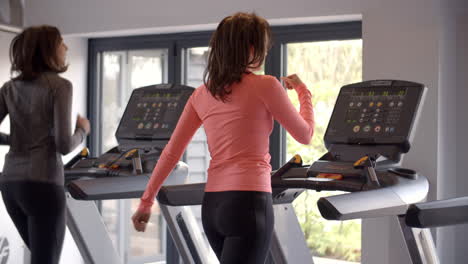 Two-women-exercise-on-running-machines-at-a-gym,-back-view
