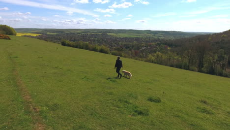 Aerial-Shot-Of-Mature-Man-With-Dog-On-Walk-In-Countryside