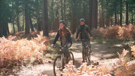 Four-friends-cycling-past-in-a-forest,-backlit