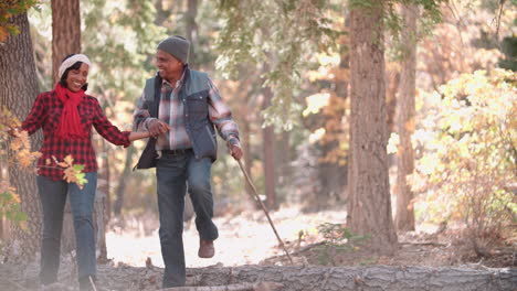Senior-couple-in-a-forest-walk-to-camera,-on-left-of-frame