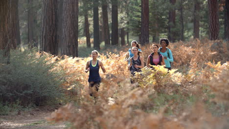 Group-of-five-young-adult-women-running-in-a-forest