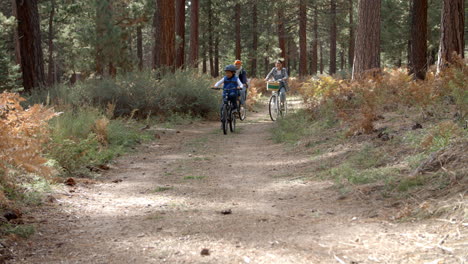 Asian-couple-and-son-cycling-in-a-forest