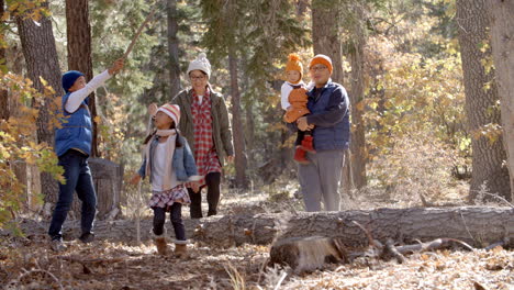 Glückliche-Asiatische-Familie,-Die-Gemeinsam-Eine-Wanderung-Im-Wald-Genießt