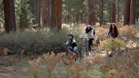 Lesbian-couple-cycling-in-a-forest-with-their-daughter