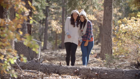 Lesbian-couple-enjoy-a-walk-holding-hands-in-a-forest