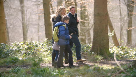 Panning-shot-following-family-of-four-walking-through-forest