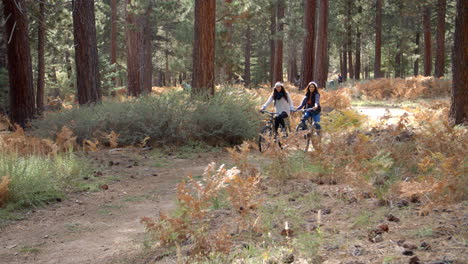 Lesbian-couple-riding-bikes-in-a-forest-holding-hands