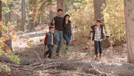 Happy-Hispanic-family-walking-in-a-forest,-panning-shot