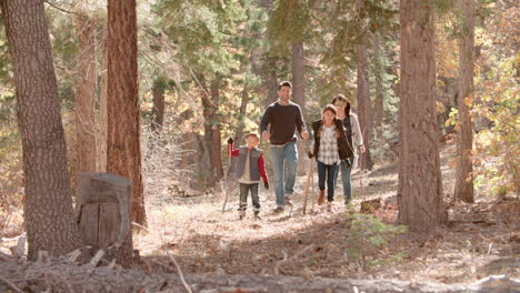 Hispanic-family-walking-in-a-forest,-full-length-front-view