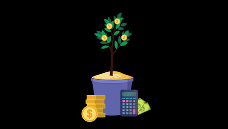 money-tree-investment-money-tree-dollar-coin-animation-growth-money-investment-animation-with-Alpha-Channel.
