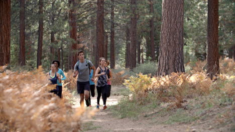 Group-of-young-adult-friends-run-past-camera-in-a-forest