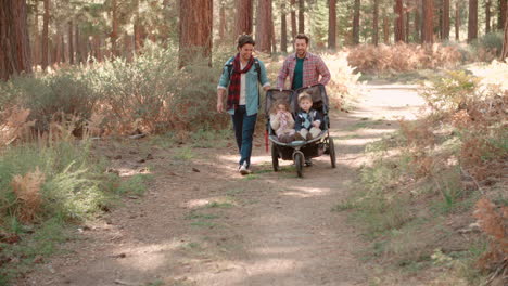 Male-parents-pushing-stroller-with-two-kids-through-a-forest