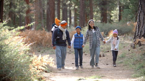 Asian-family-walk-towards-camera-in-a-forest,-front-view