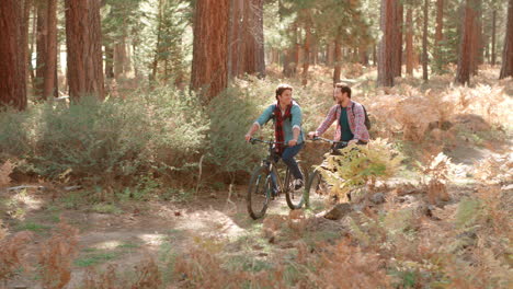 Male-couple-talk-as-they-cycle-through-a-forest,-front-view