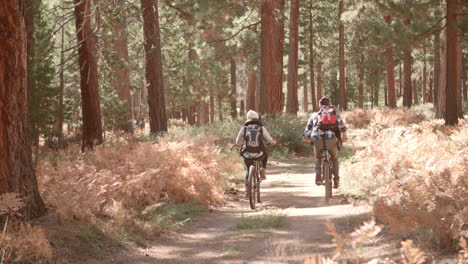 Smiling-couple-cycling-through-a-forest-together,-back-view